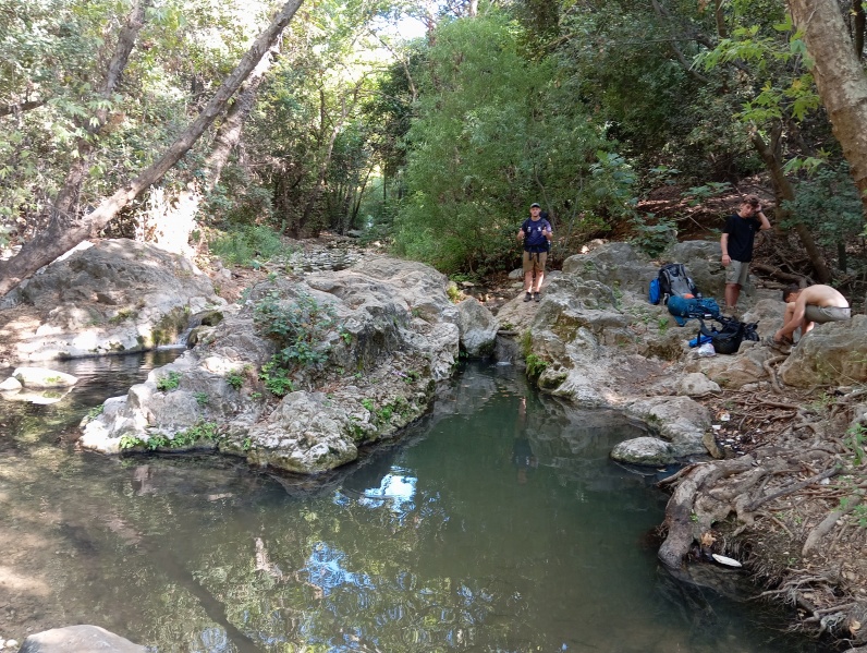 קובץ:2025-07-14T17 15 59.730340593759.jpg