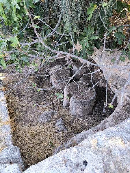 קובץ:2025-07-14T17 52 34.382185794379.jpg