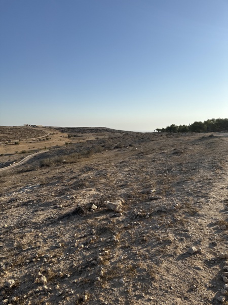 קובץ:2025-07-14T18 33 14.242933345998.jpg