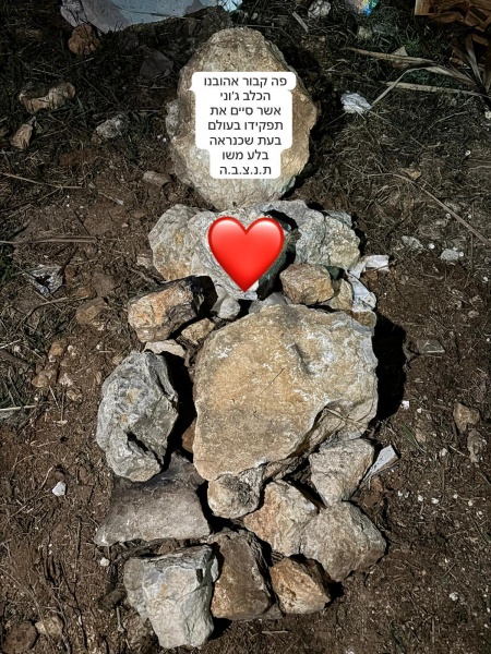 קובץ:2025-07-14T21 15 52.625409265777.jpg