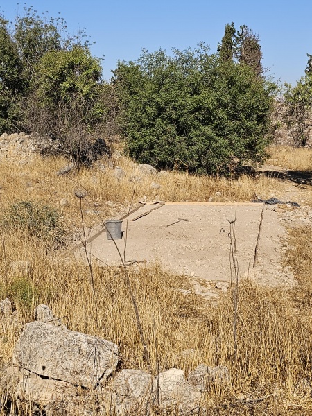 קובץ:2025-07-15T07 53 15.752126266079.jpg