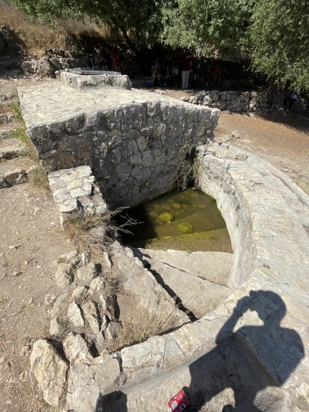 קובץ:2025-07-15T10 08 12.948890213385.jpg