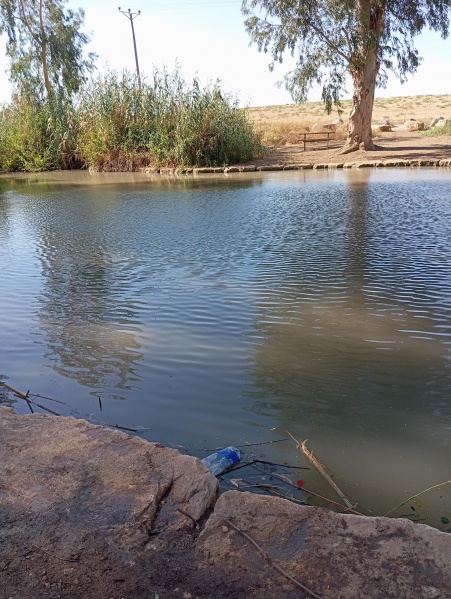 קובץ:2025-07-15T16 32 39.117824837248.jpg