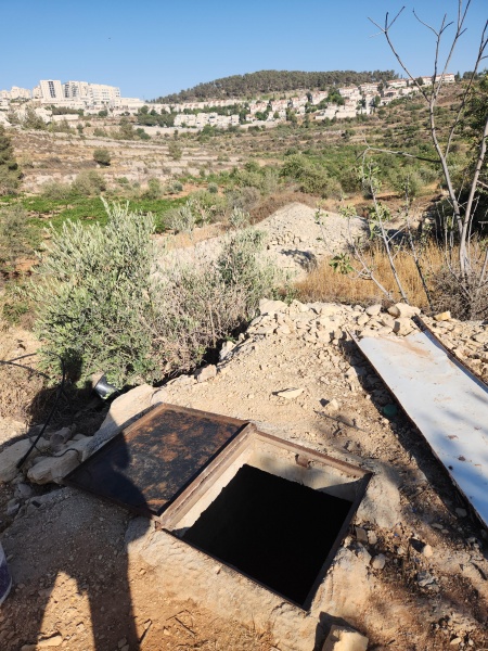 קובץ:2025-07-15T17 22 03.811570427690.jpg