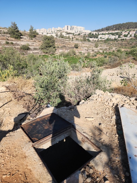 קובץ:2025-07-15T17 23 45.903641686787.jpg
