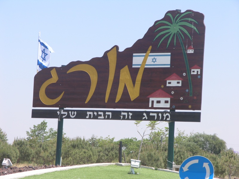 קובץ:2025-07-15T20 48 08.154049382552.jpg
