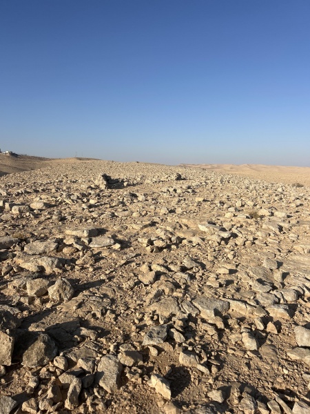 קובץ:2025-07-16T07 11 37.751372965098.jpg