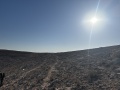 תמונה ממוזערת לגרסה מתאריך 04:09, 16 ביולי 2025