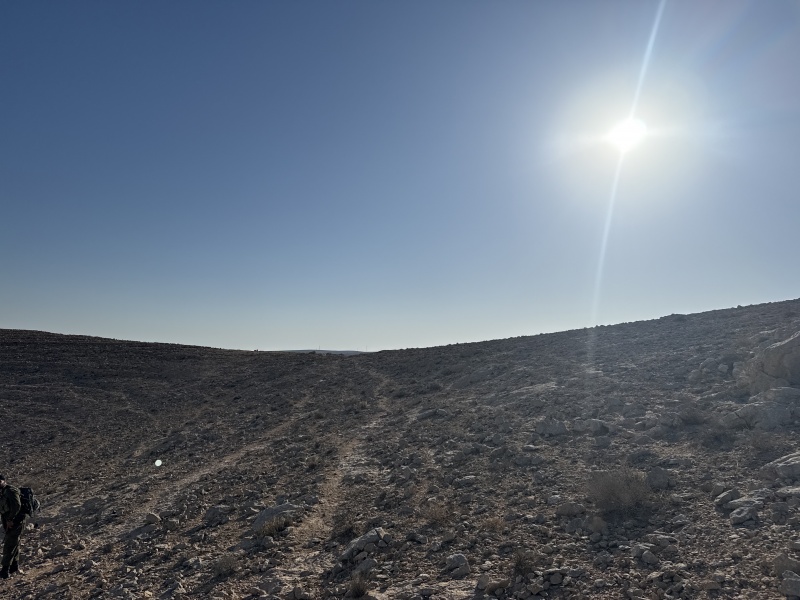 קובץ:2025-07-16T07 34 46.251652292305.jpg