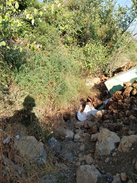 קובץ:2025-07-17T08 17 35.616582569400.jpg