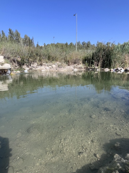 קובץ:2025-07-17T09 04 21.822783761809.jpg