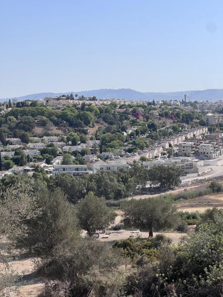 קובץ:2025-07-17T09 04 45.359546518551.jpg