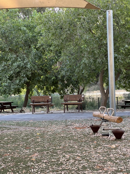 קובץ:2025-07-17T09 05 56.770108356797.jpg