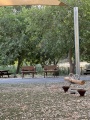 תמונה ממוזערת לגרסה מתאריך 05:41, 17 ביולי 2025