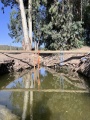 תמונה ממוזערת לגרסה מתאריך 10:59, 17 ביולי 2025