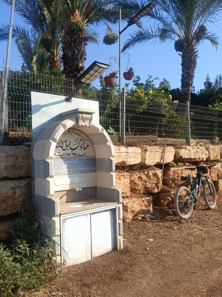 קובץ:2025-07-18T08 11 59.187606828066.jpg