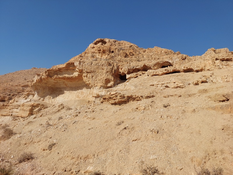 קובץ:2025-07-18T08 29 06.816906587111.jpg