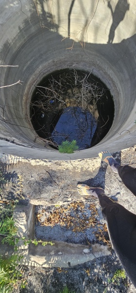 קובץ:2025-07-18T08 48 27.653216194071.jpg