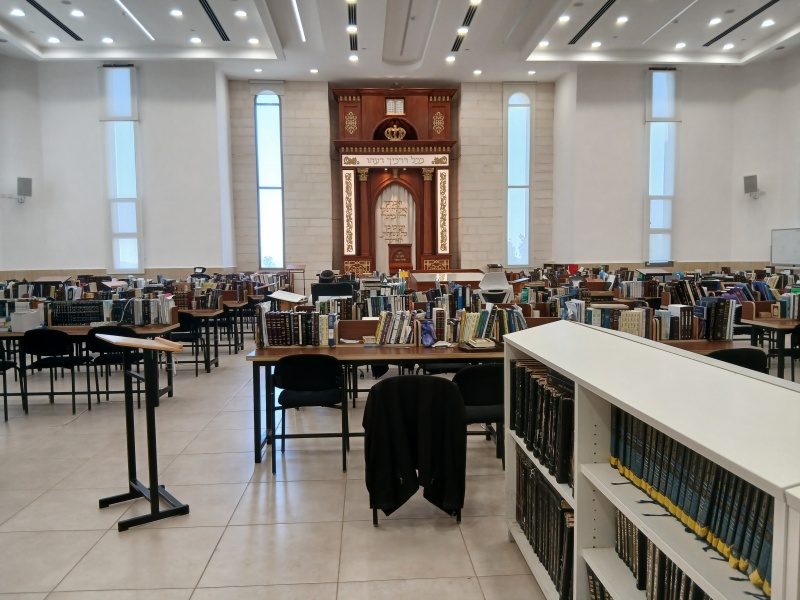 קובץ:2025-07-18T11 35 32.686893921663.jpg