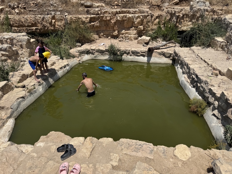 קובץ:2025-07-18T12 39 11.917016648094.jpg