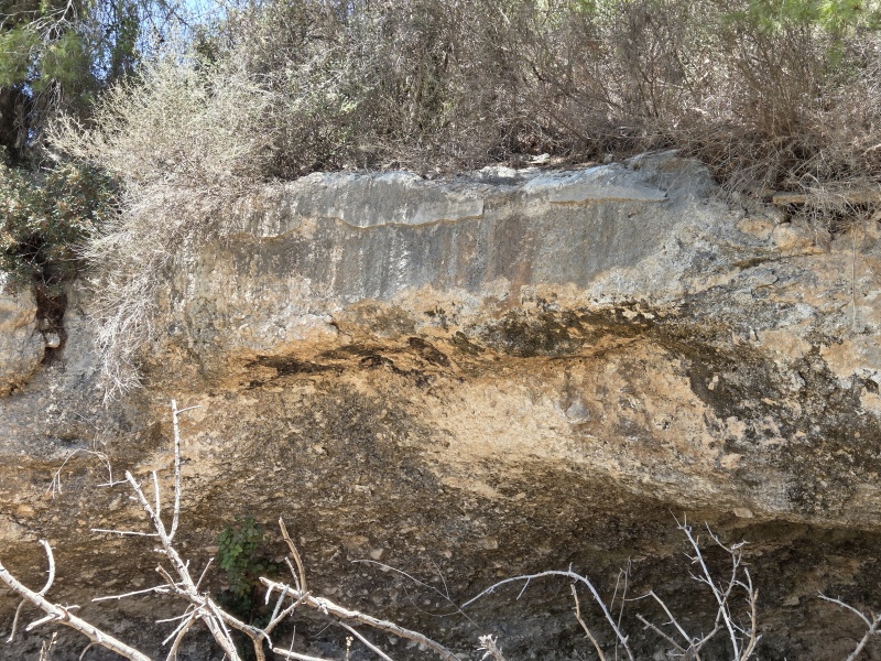 קובץ:2025-07-18T12 43 29.95255357567.jpg