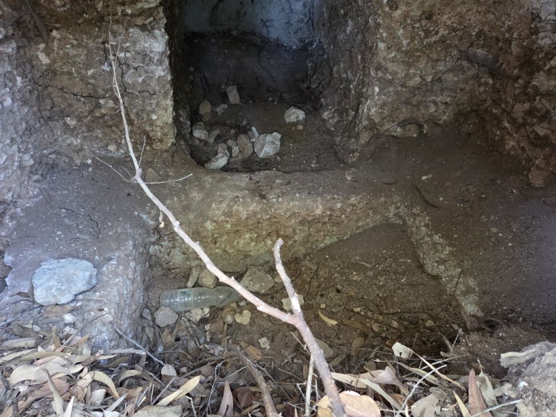 קובץ:2025-07-18T13 02 38.864660284840.jpg
