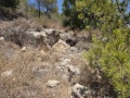 תמונה ממוזערת לגרסה מתאריך 10:12, 18 ביולי 2025