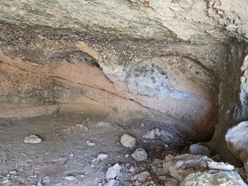 קובץ:2025-07-18T13 37 48.865923638570.jpg