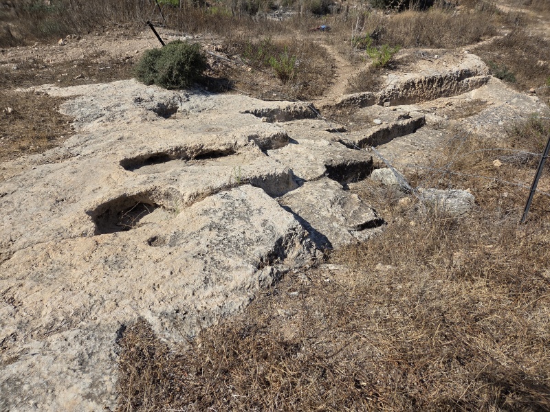 קובץ:2025-07-18T16 21 12.953221549034.jpg