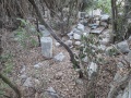 תמונה ממוזערת לגרסה מתאריך 16:03, 18 ביולי 2025