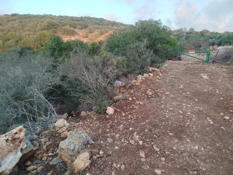קובץ:2025-07-19T06 06 43.720592997458.jpg