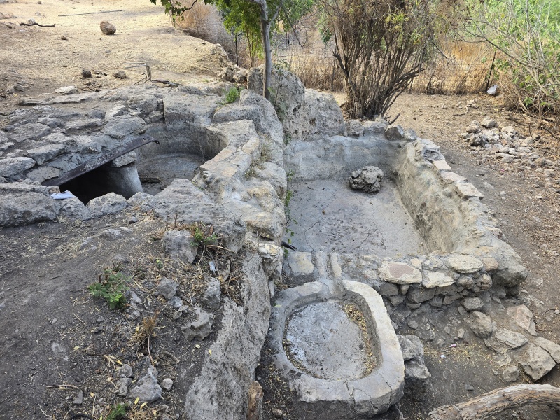 קובץ:2025-07-19T07 19 09.863586945503.jpg