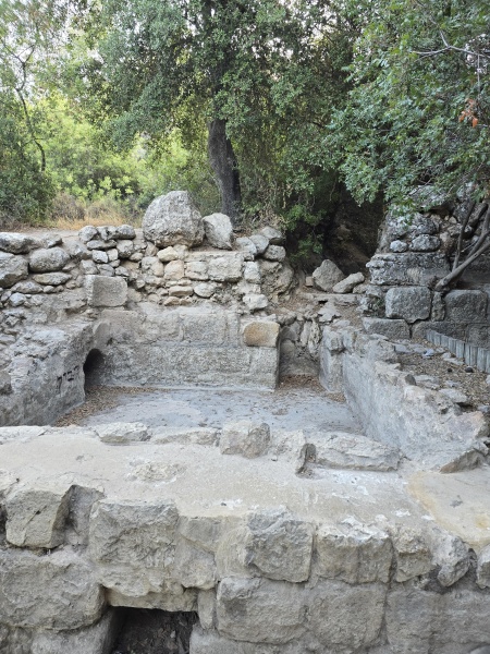 קובץ:2025-07-19T07 44 56.948731999425.jpg