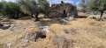 תמונה ממוזערת לגרסה מתאריך 05:32, 19 ביולי 2025