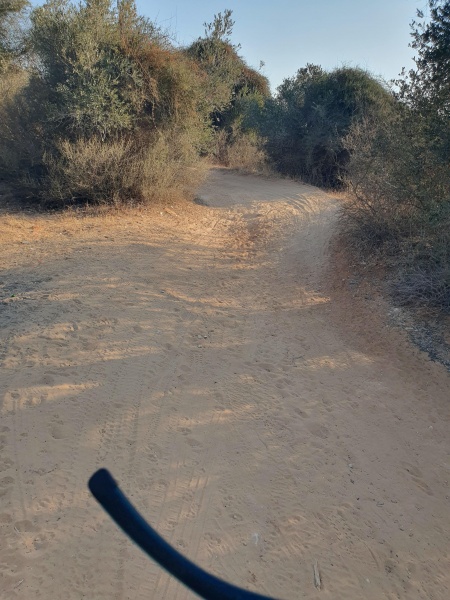 קובץ:2025-07-20T07 30 01.874969321238.jpg