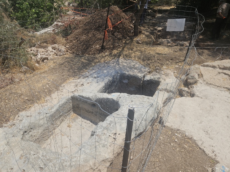 קובץ:2025-07-20T12 11 37.062468335609.jpg
