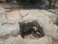 תמונה ממוזערת לגרסה מתאריך 08:49, 20 ביולי 2025