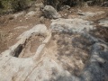 תמונה ממוזערת לגרסה מתאריך 09:03, 20 ביולי 2025