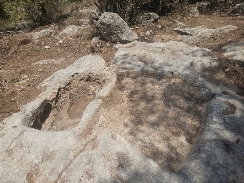 קובץ:2025-07-20T12 28 38.001772486102.jpg