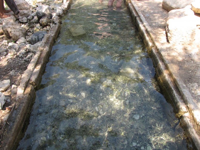 קובץ:2025-07-20T23 54 59.663329654044.jpg