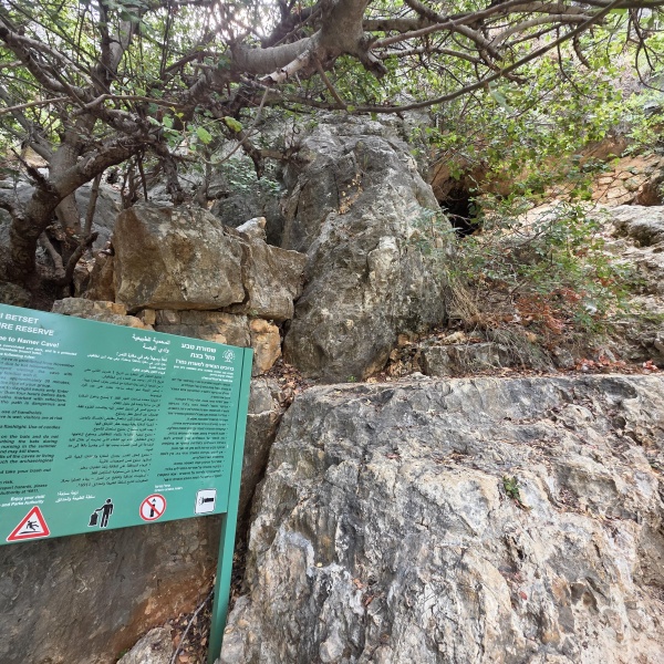 קובץ:2025-07-21T10 46 29.862221114609.jpg