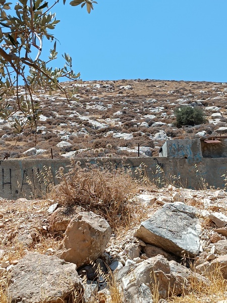 קובץ:2025-07-21T12 37 17.544540824426.jpg