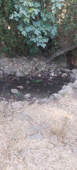 קובץ:2025-07-21T16 09 30.489115311805.jpg