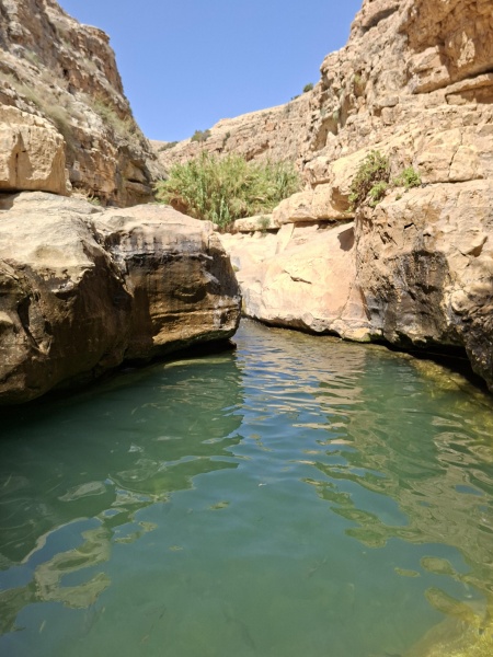 קובץ:2025-07-21T16 24 32.044329504550.jpg