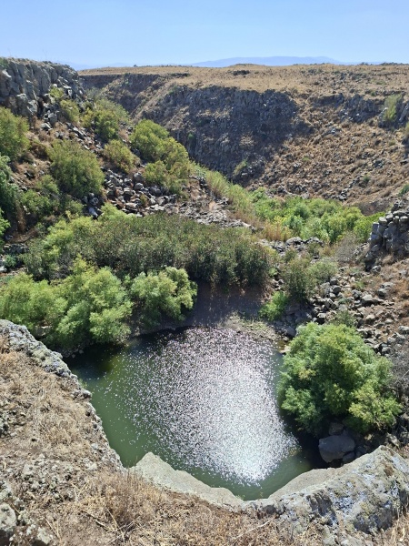קובץ:2025-07-21T16 28 53.136420270794.jpg