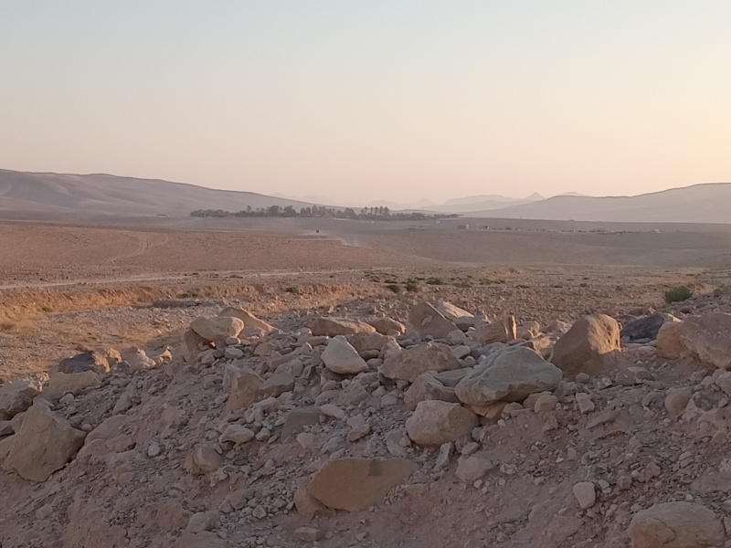 קובץ:2025-07-22T06 24 37.760024699698.jpg
