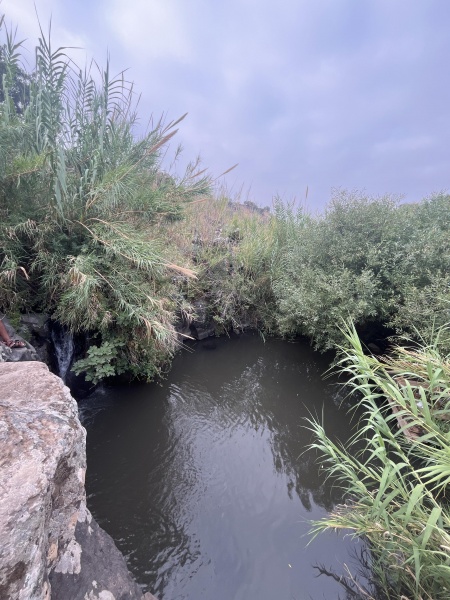 קובץ:2025-07-22T07 21 00.841791750526.jpg