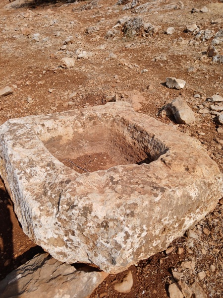 קובץ:2025-07-22T09 15 39.081807734431.jpg
