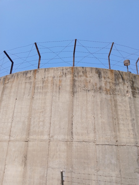 קובץ:2025-07-22T11 07 46.844925998114.jpg