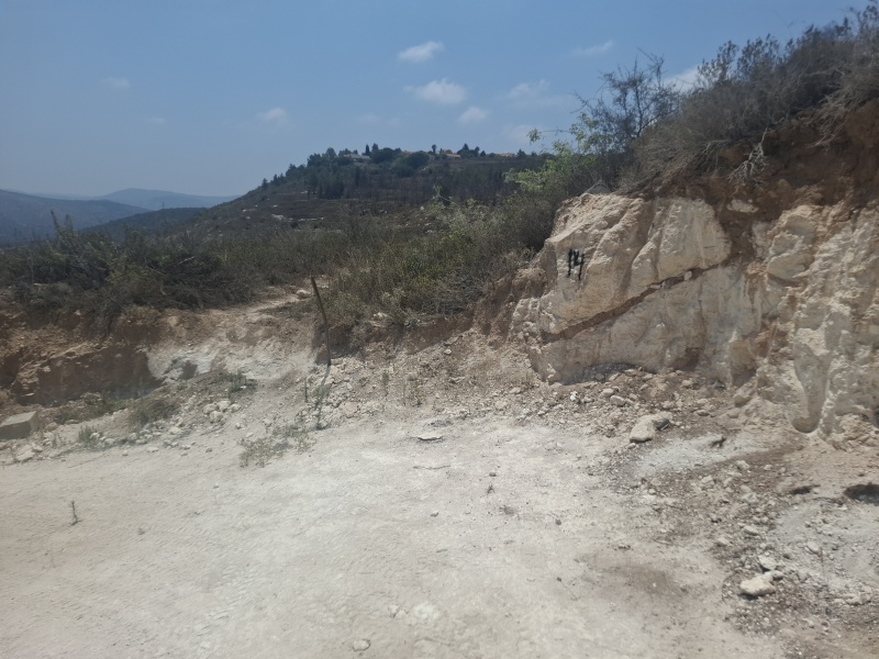 קובץ:2025-07-22T12 07 37.70761328643.jpg